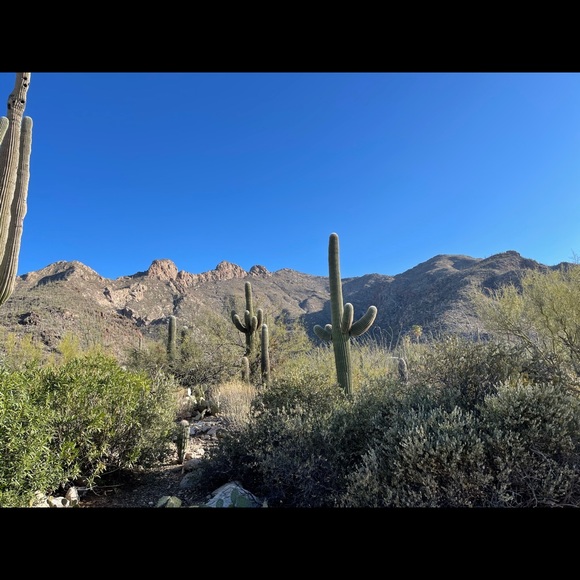 Meet your Posher, Fernando - Picture 1 of 1